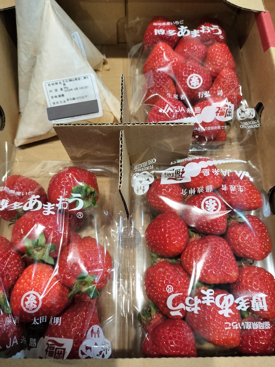 バビ🐟💹 tweet media