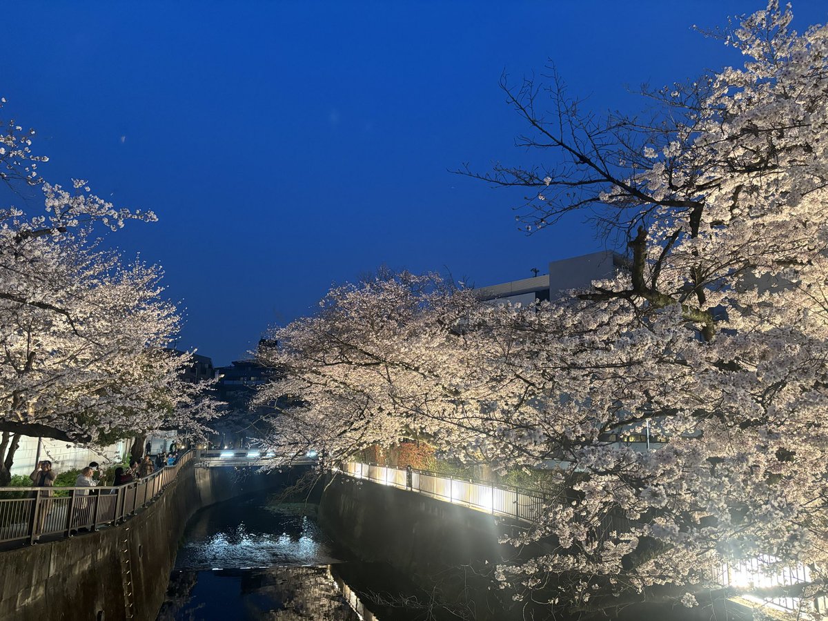 みどりん ⭐︎ユノ、チャミ大好き⭐︎ tweet media