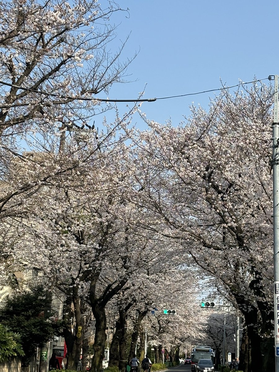 みどりん ⭐︎ユノ、チャミ大好き⭐︎ tweet media