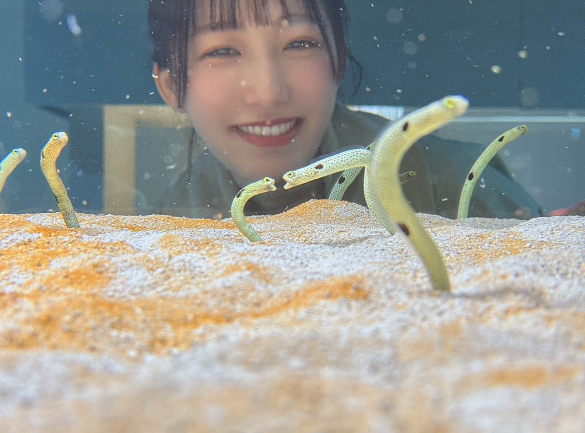 宮川愛李(妹子) tweet media