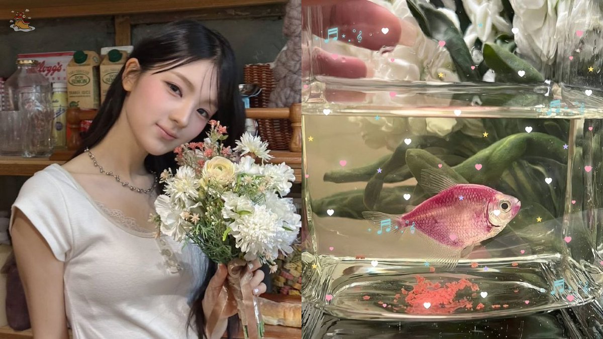 SOC-IE 💛 ˚☽˚.⋆ tweet media