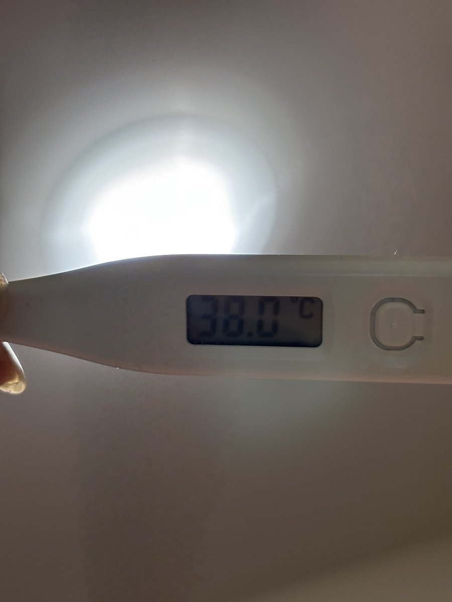 🍏rnisa🍏 tweet media