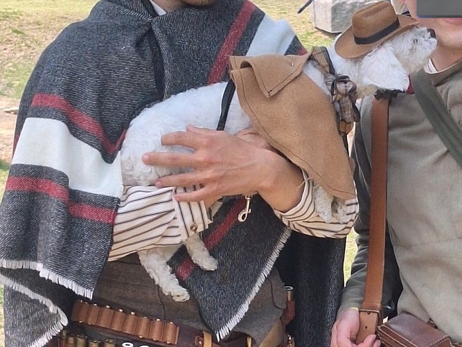 수염맨 코스프레 계정 및 강아지 코스프레 계정 tweet media