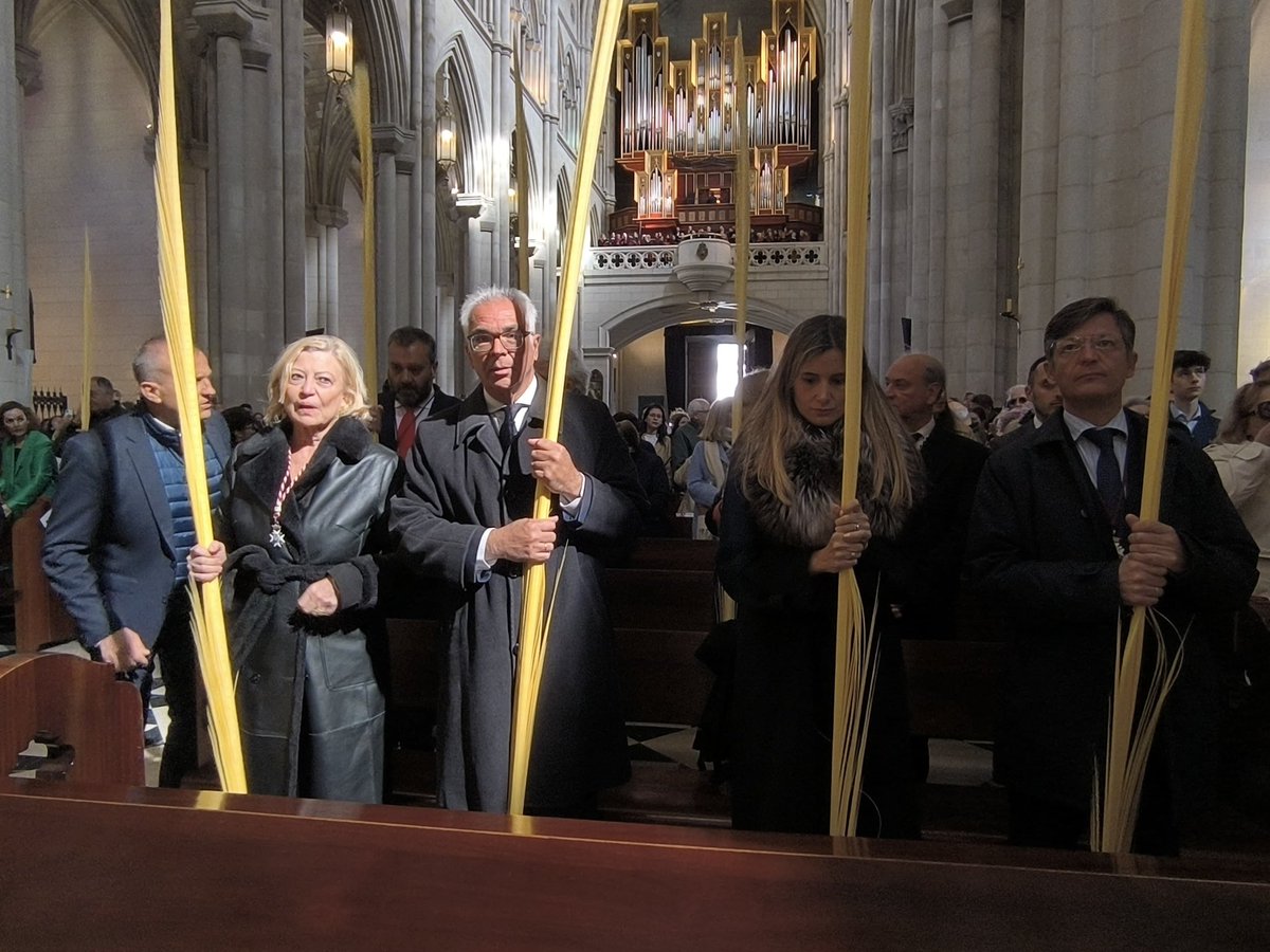 José A Mtnez Páramo tweet media