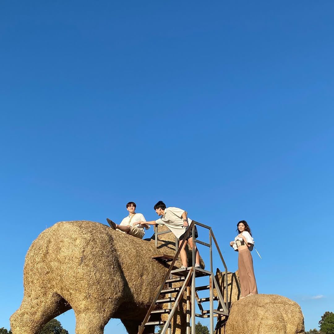 𝘖𝘩𝘮 tweet media