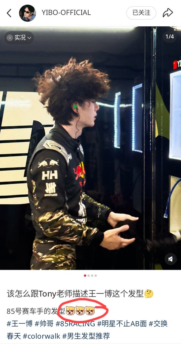 BoZhan💚❤️🦁🐰BJYXSZD tweet media