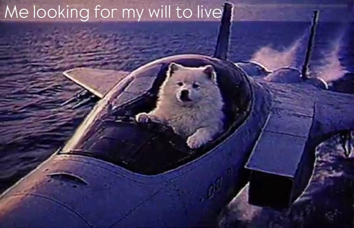 Trasportino2.0 tweet media