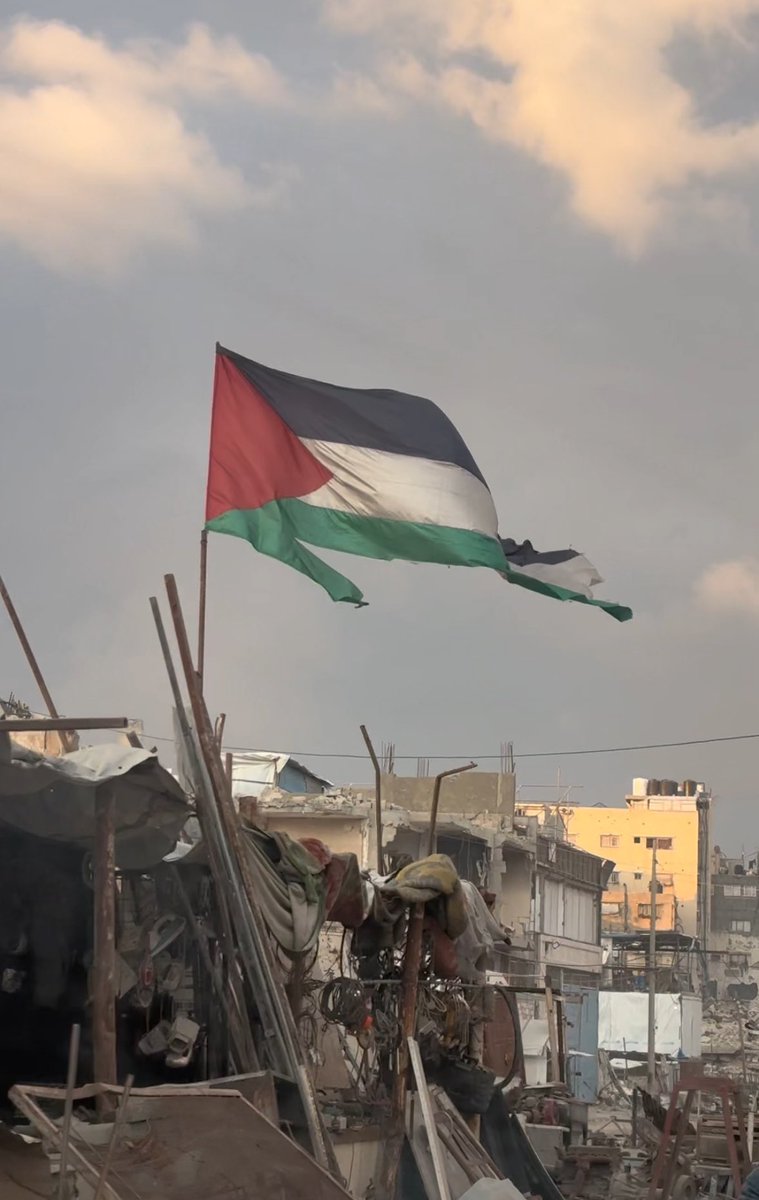 readers for freedom tweet media