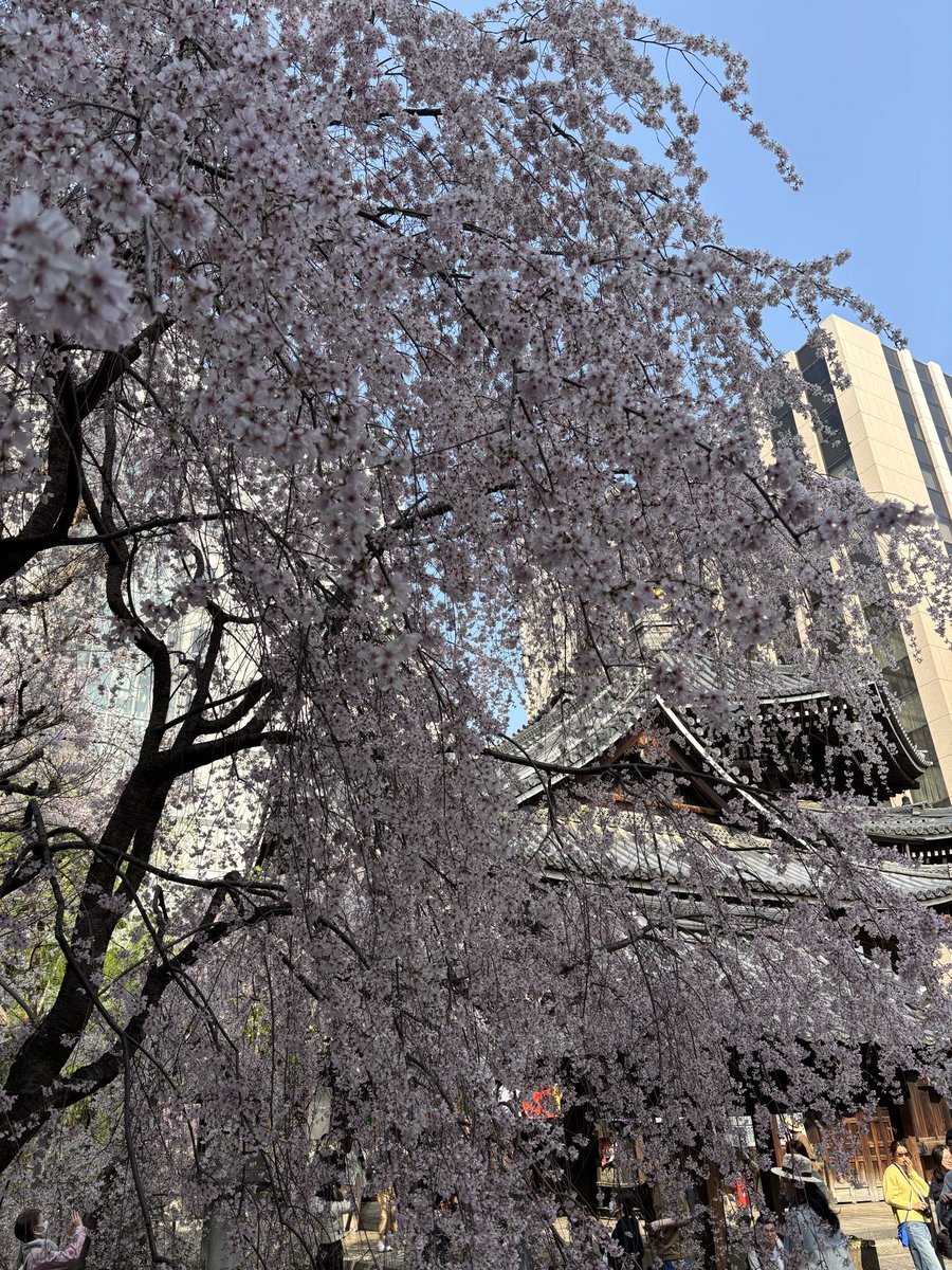 walkride〈とばっち〉 tweet media