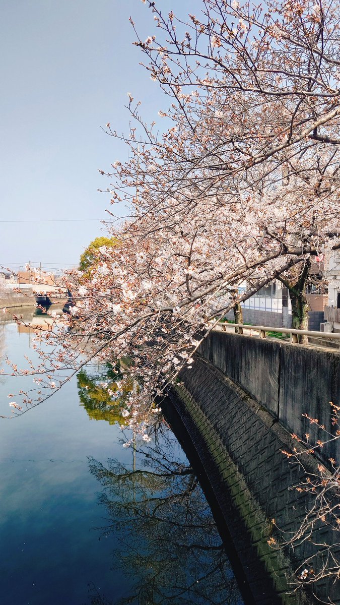 メグ|初回お取引時は固定とリットリンク⚠️ tweet media