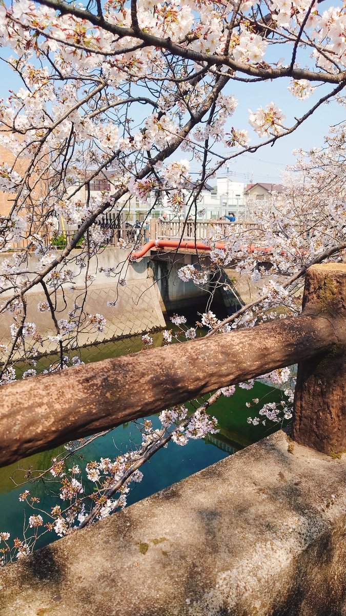 メグ|初回お取引時は固定とリットリンク⚠️ tweet media