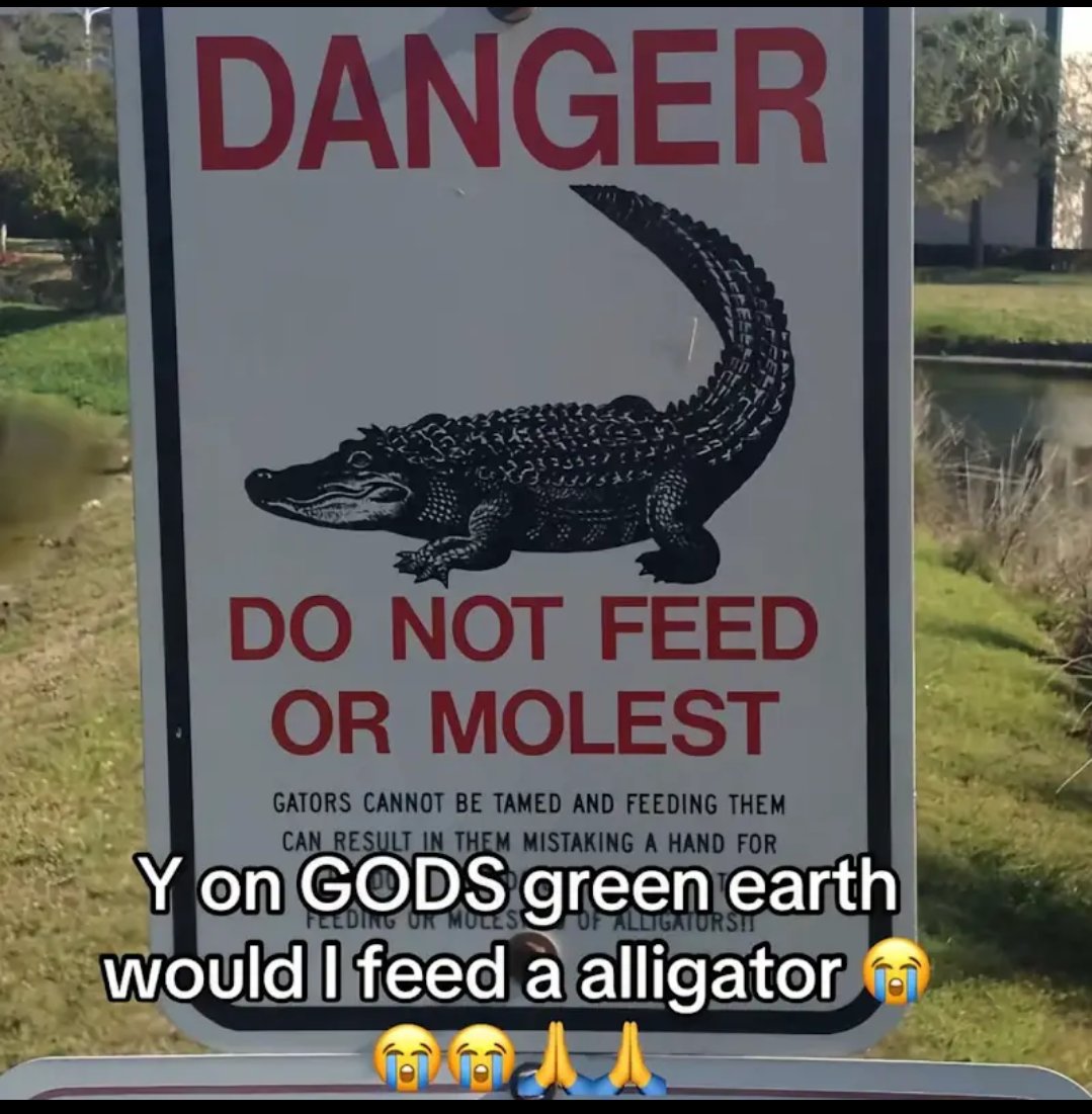 Tiku Bodmosh tweet media