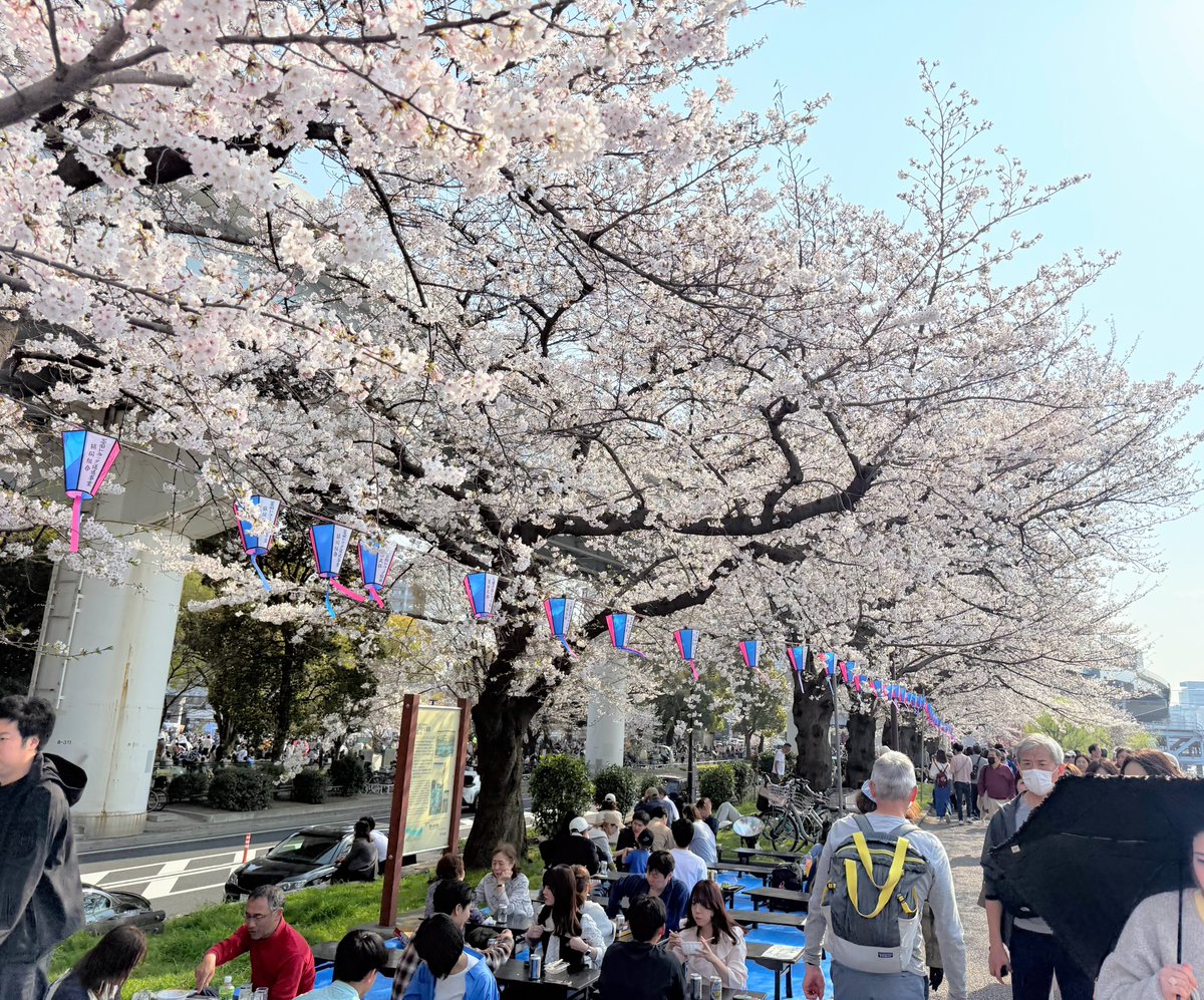 ハッチャン：ランニングアドバイザー tweet media