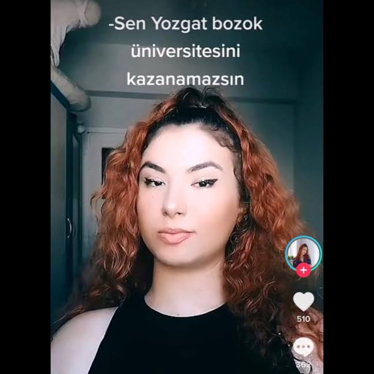 Mıstava tweet media