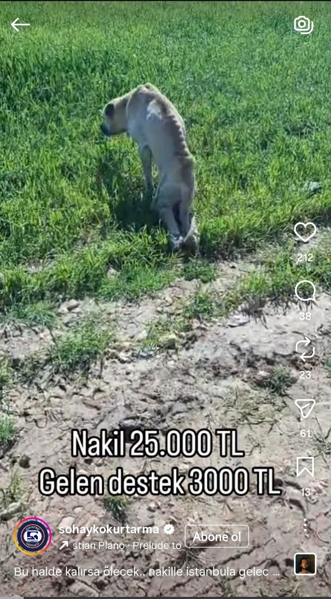 Güvenli Türkiye tweet media