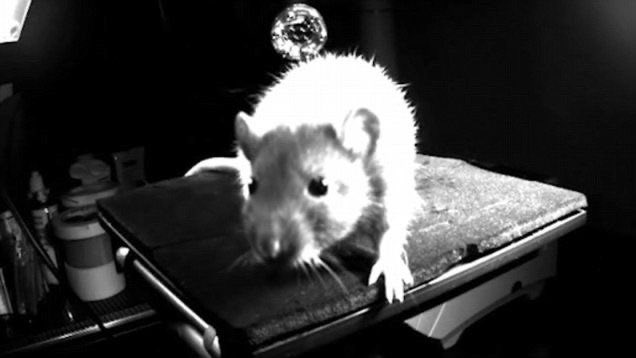 Alfred 🏄🏻♀️ tweet media