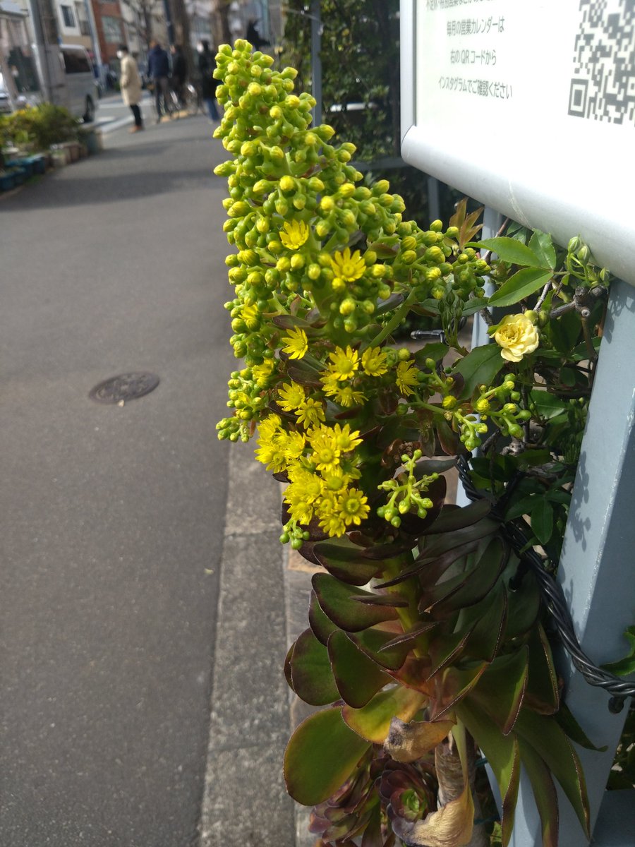 林田慎吾 tweet media