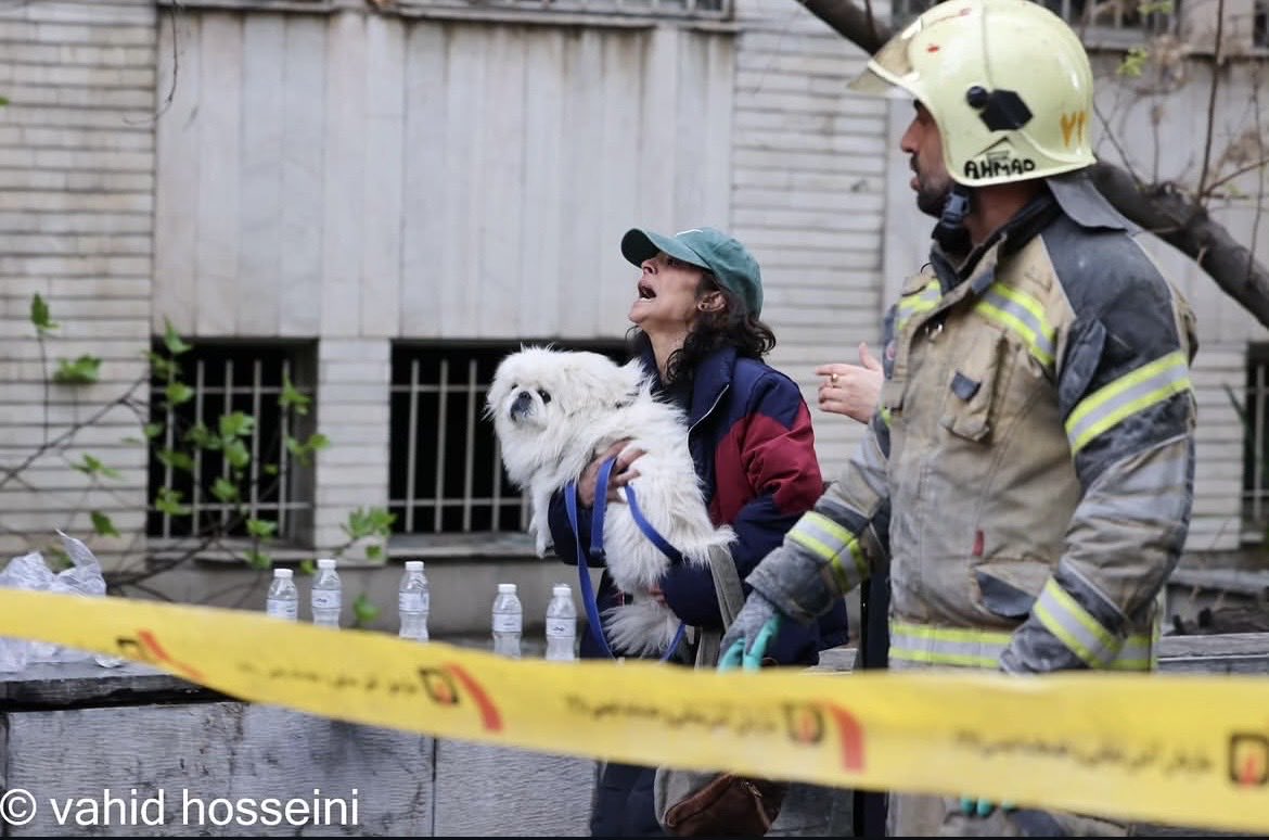 لیلا پایدار tweet media