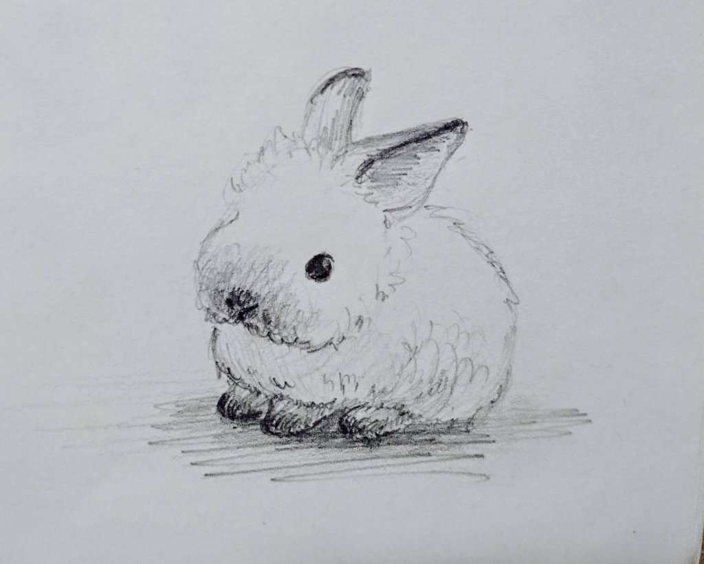 ころも・Y・の飼い主 tweet media