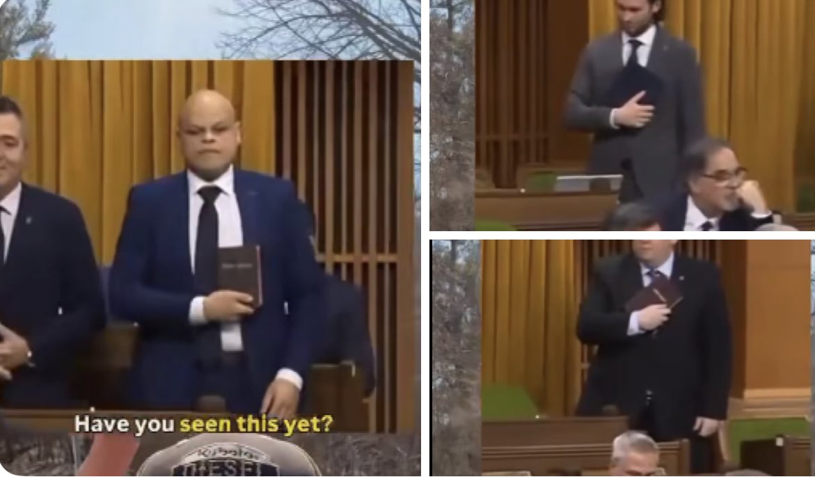 Bev 🇨🇦 tweet media