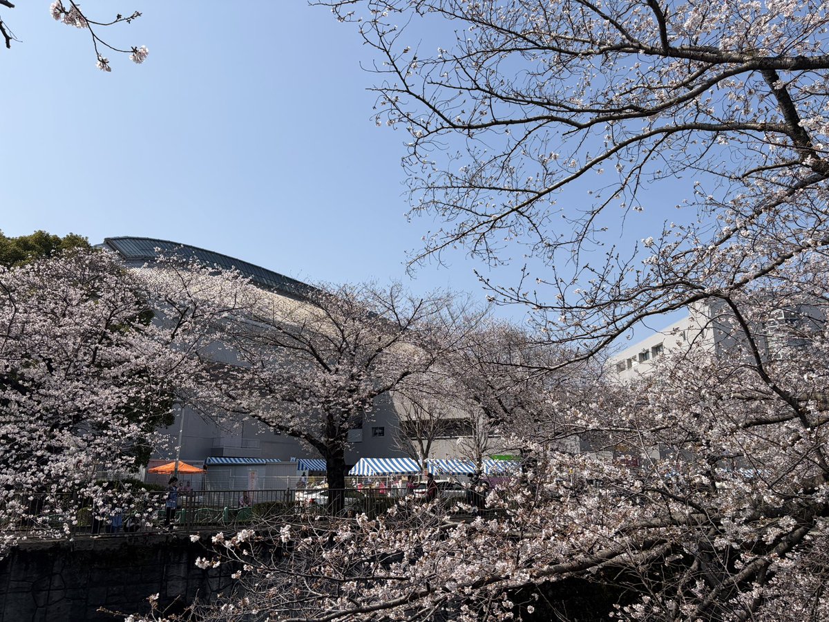 からちゅーの町田放浪記 tweet media