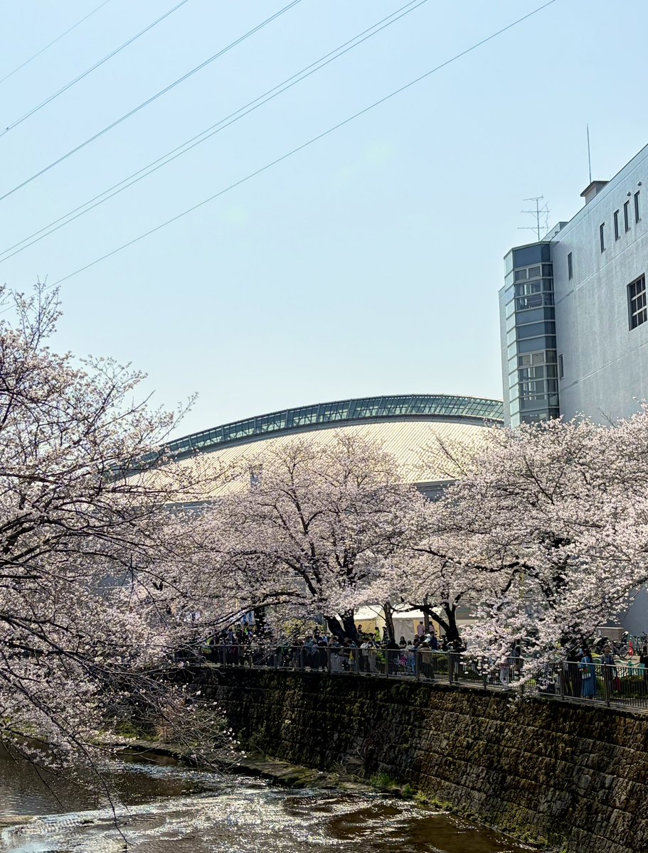 からちゅーの町田放浪記 tweet media