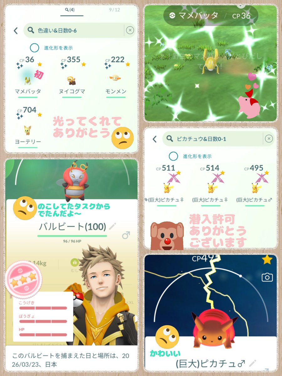 さる君🌴≡(*ﾟ∇ﾟ)ﾉ🏖 tweet media