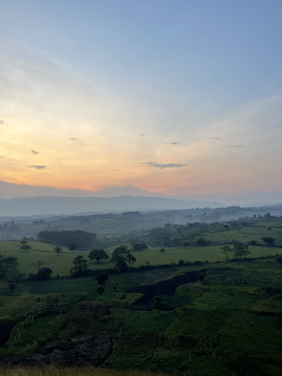 Duke Mike tweet media