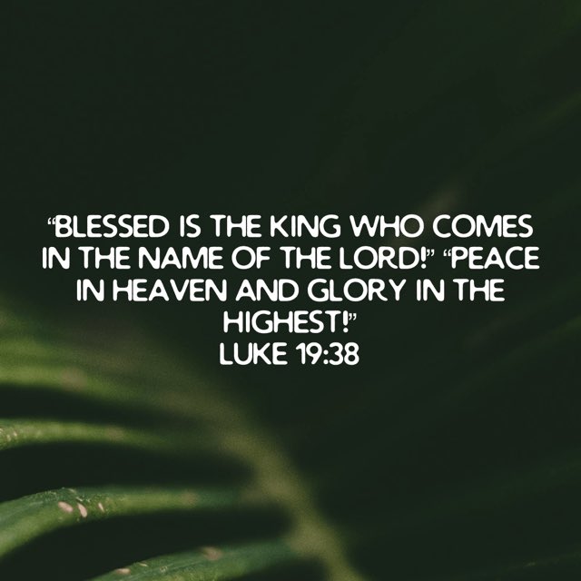 Jeff Prince tweet media