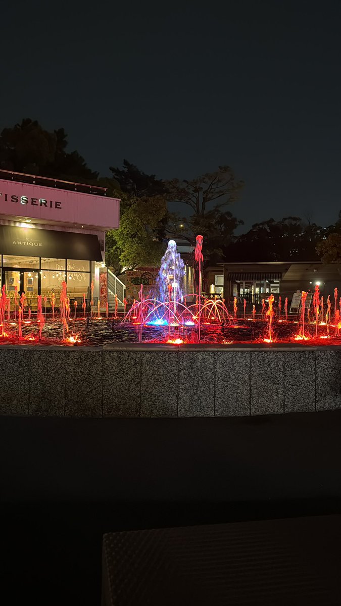 🐱と🐶ﾊｲｴﾉﾅｶ👑🐃 tweet media