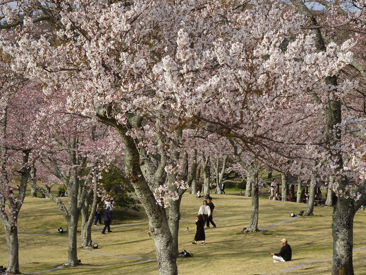 もづる tweet media