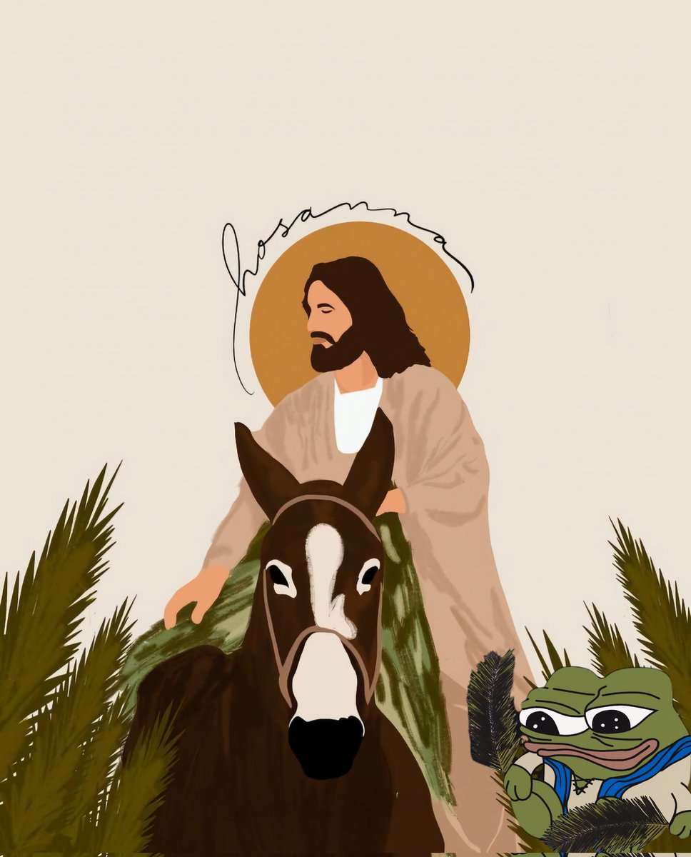 Mary Flynn tweet media