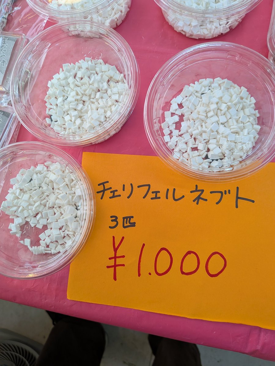 まだら汁 tweet media