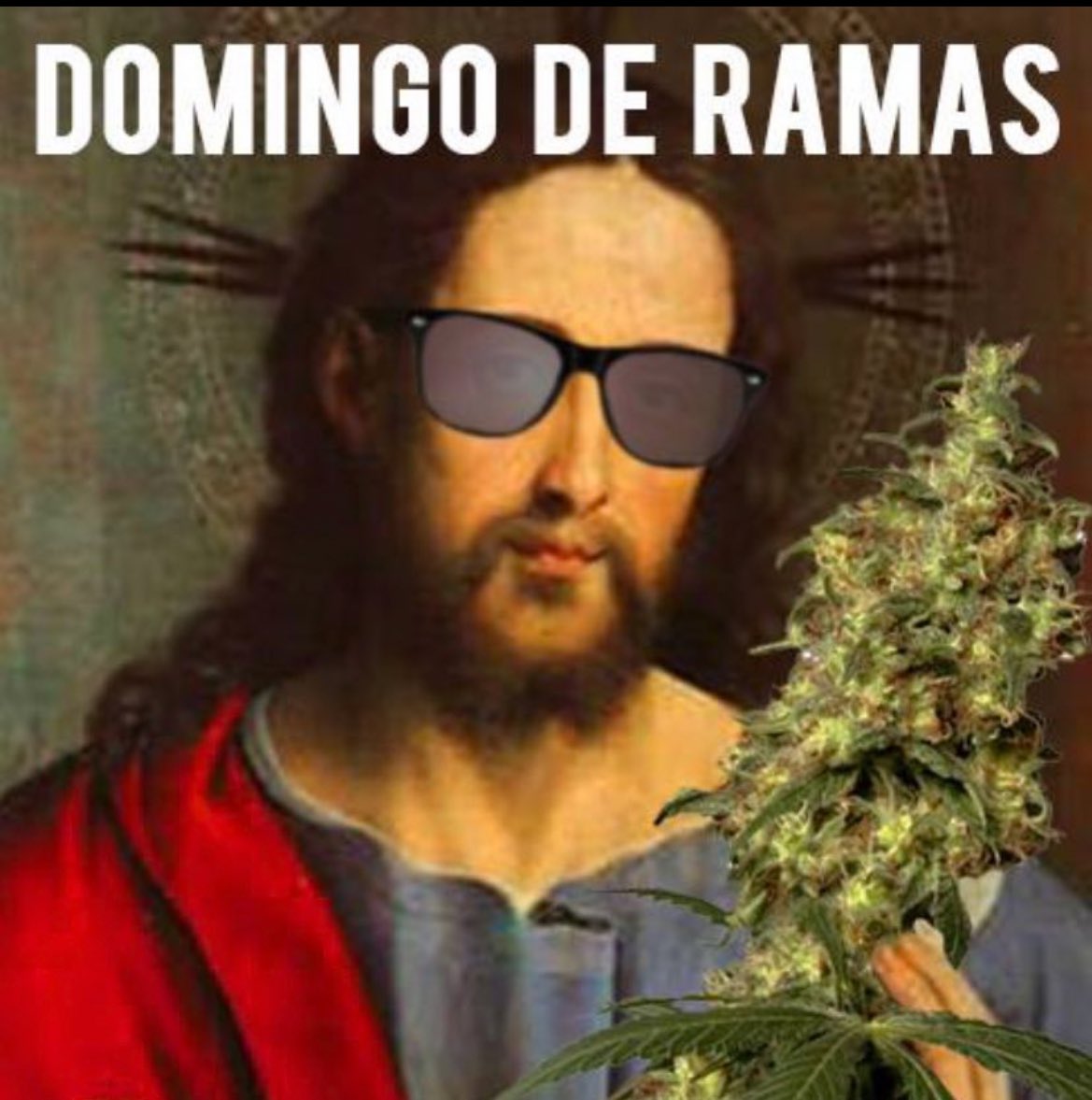 ¡Feliz domingo de Ramas!
