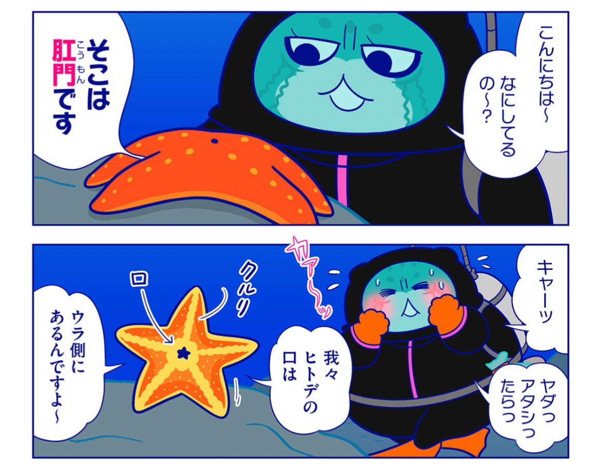 まずりん🍥 tweet media