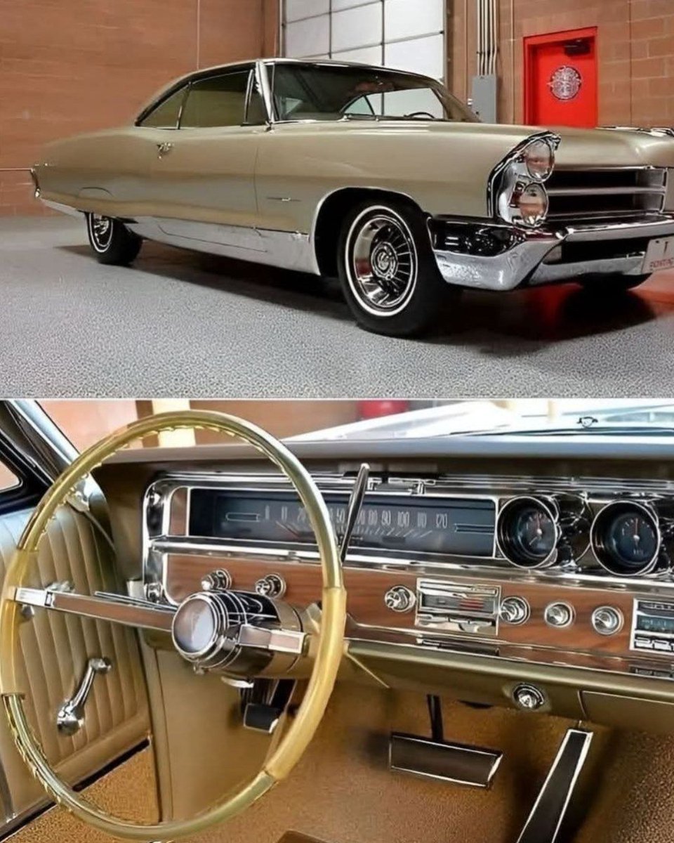 doyoucare nobody's business but mine tweet media