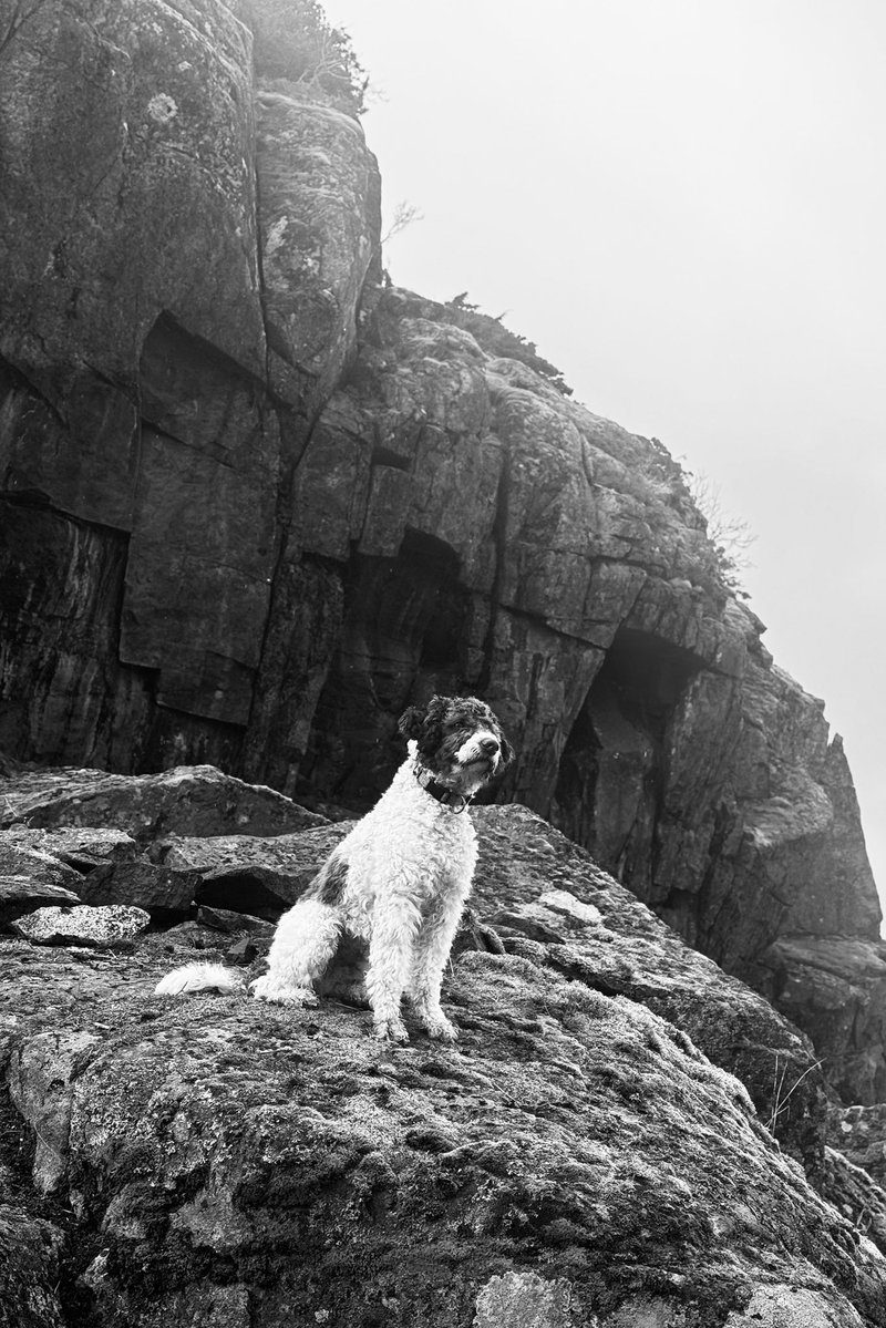 Helge Korneliussen.crypto /tez tweet media