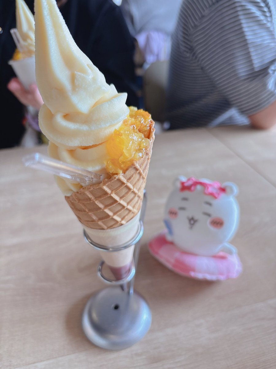 椎 野🪴 tweet media