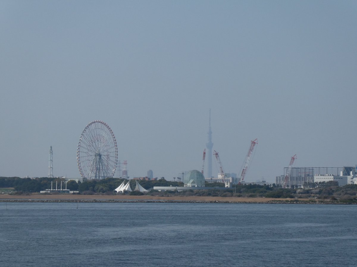 ringog5's tweet photo. 自転車でフラリと舞浜方面へ。意外と桜の花が少なく、まだつぼみが結構ある印象でした。
きっと夢の国は混雑していたのでしょうが、その周辺は日曜日でも人が少なくて「自転車で歩く」ぐらいのスピード感でも誰かに気兼ねすることもなく、のんびりできました。 https://t.co/FKLWX52MGY