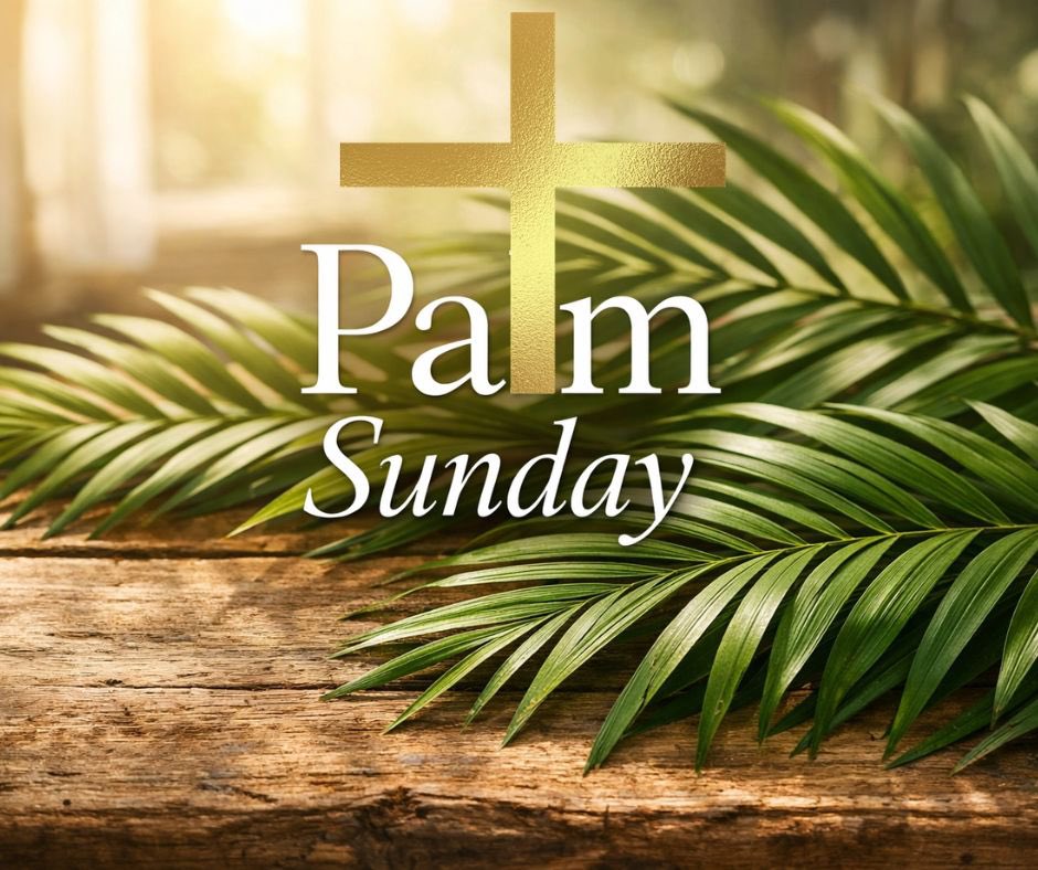 Meta Washington tweet media