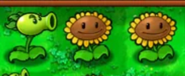 此身乃一介鄉長 tweet media