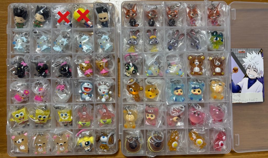 ちぃ坊 tweet media