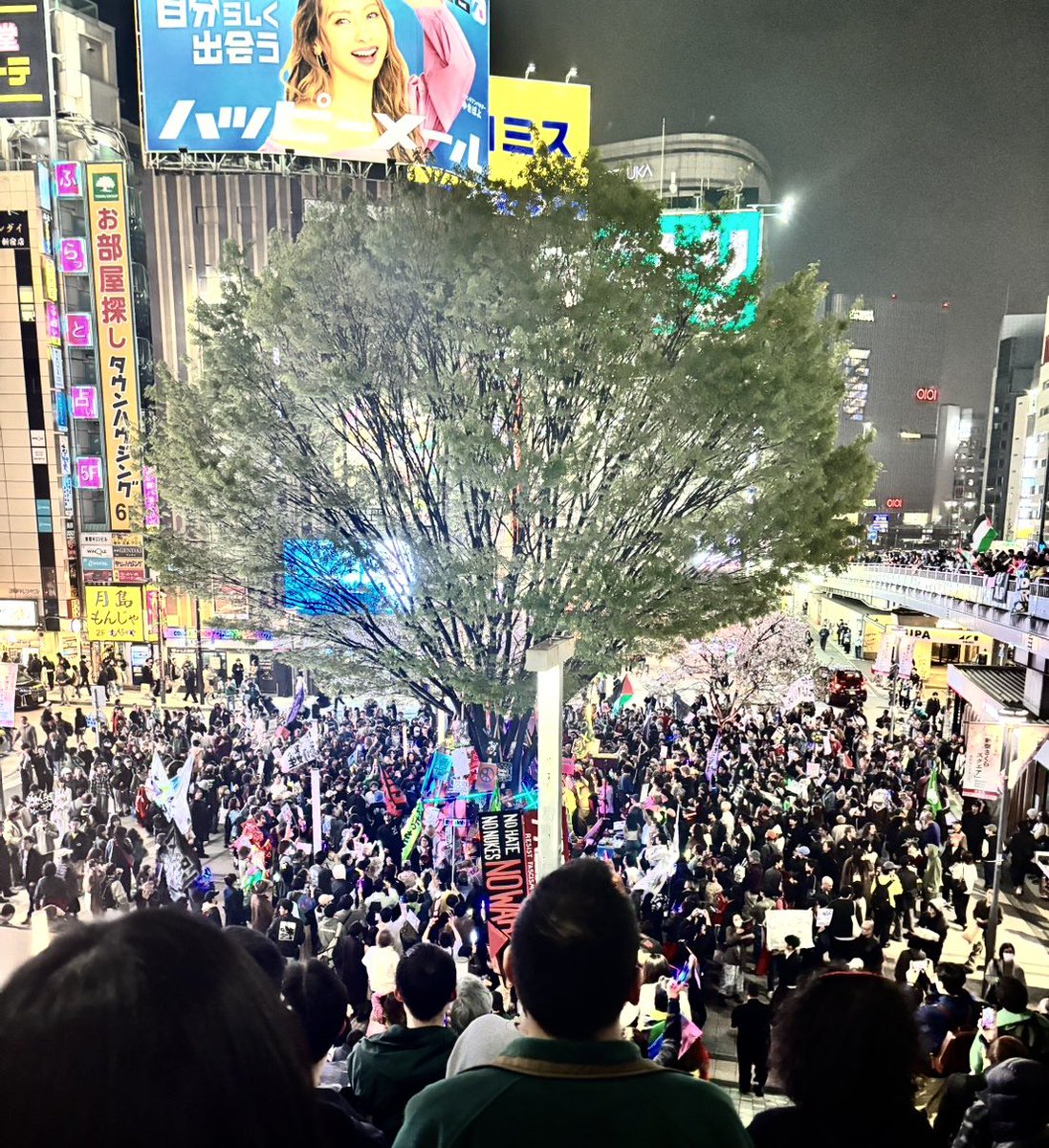 川島 智太郎 tweet media