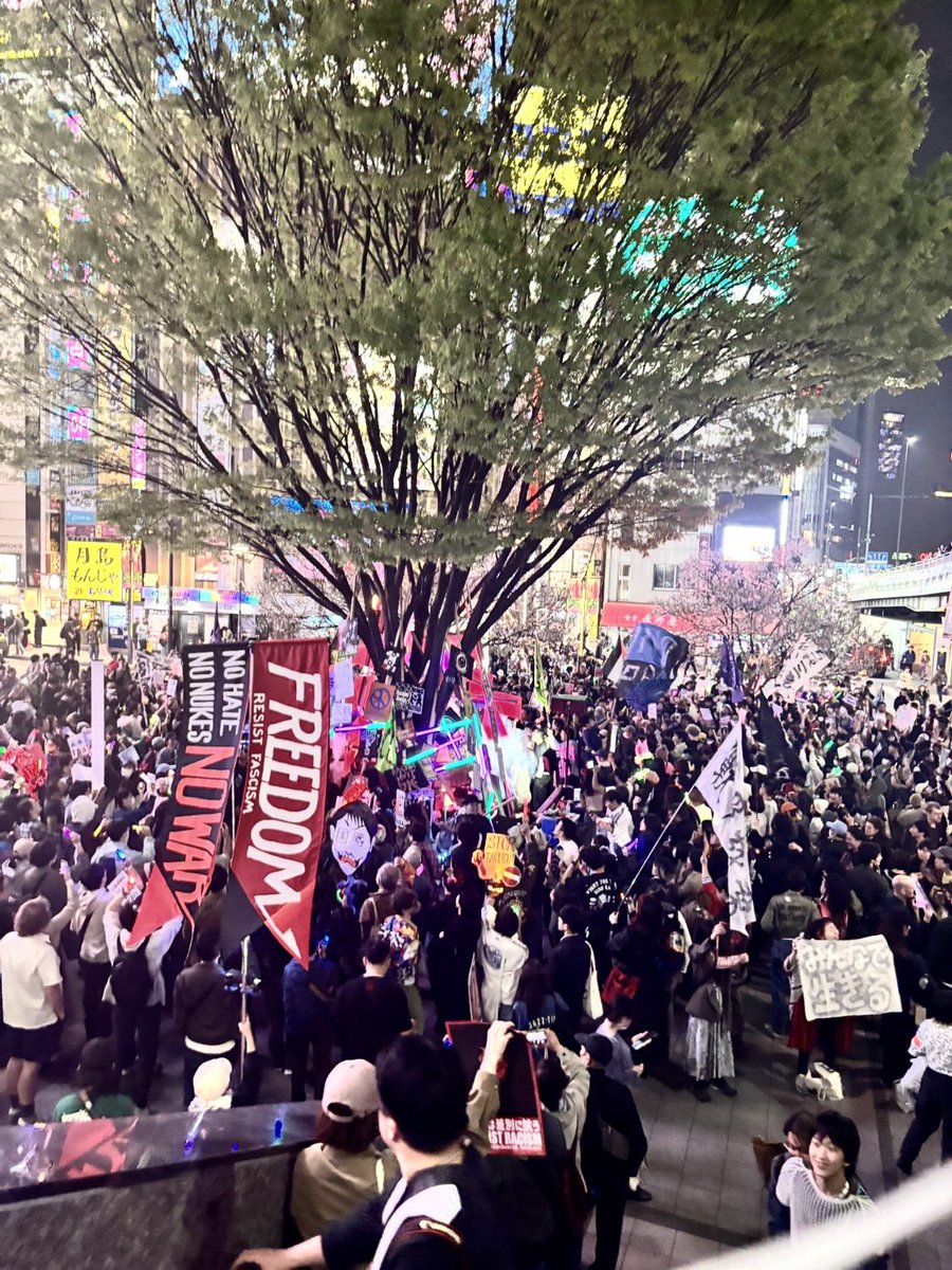 川島 智太郎 tweet media