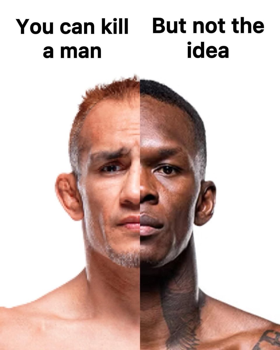 MrTestoestrogen tweet media