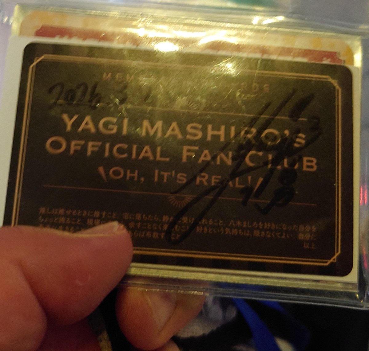 醤油犬 tweet media