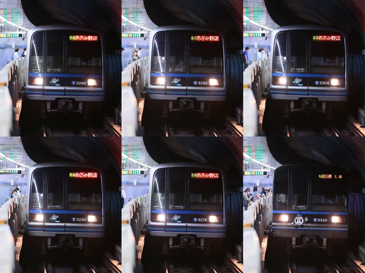 しゅんすけ tweet media