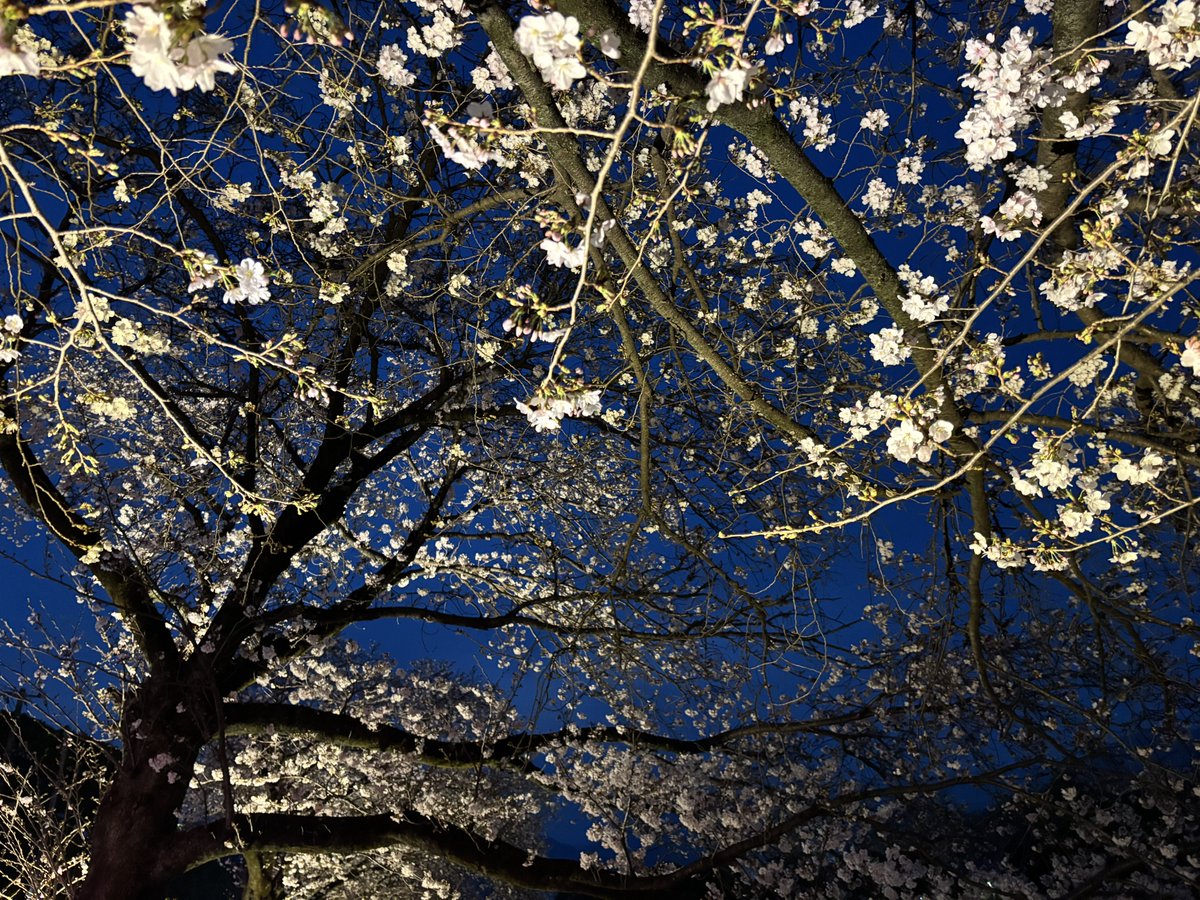 穂高 唯希｜新刊 #シンFIRE論 tweet media