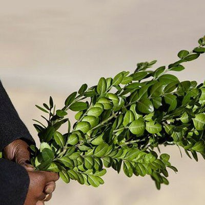 Ariel Goldmann tweet media