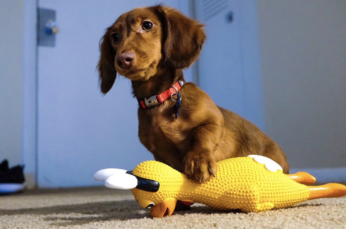 The Wizzerrd tweet media